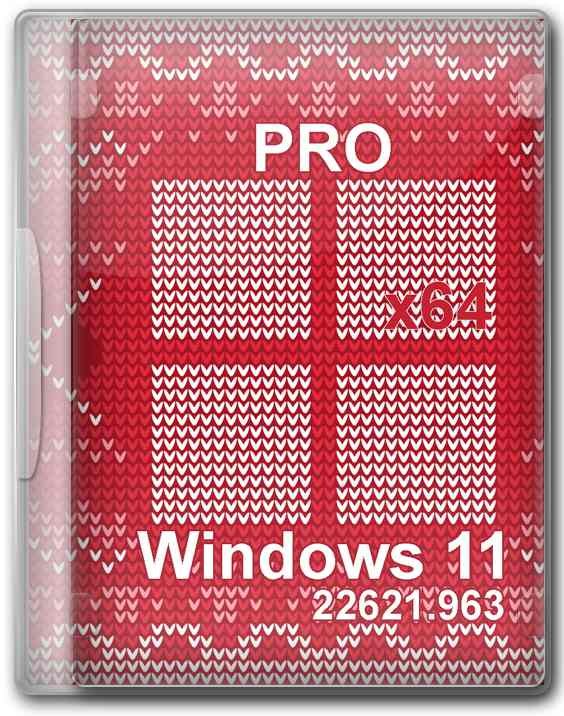 Windows 11 Pro 64    