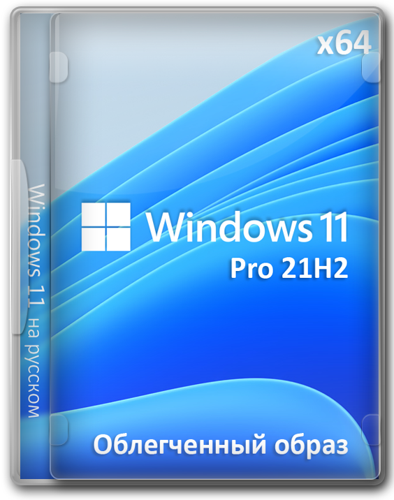 Windows 11 x64 PRO 21H2    