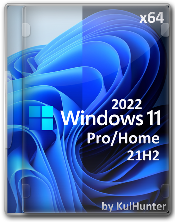 Windows 11 Home/Pro - (22000.376) 21H2 64   SSD