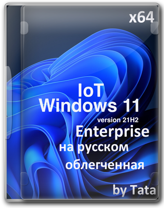 Windows 11 Enterprise IoT 21H2 x64  