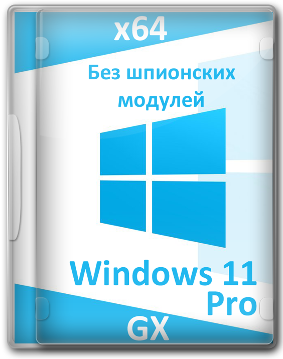   Windows 11 21H2 Professional 64   