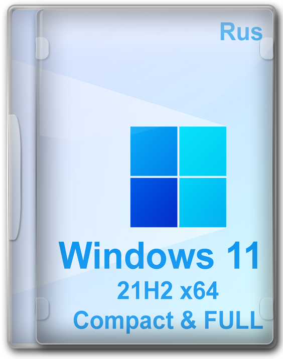 Windows 11 21H2 Pro 64   