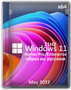   Windows 11 64  21H2   2023