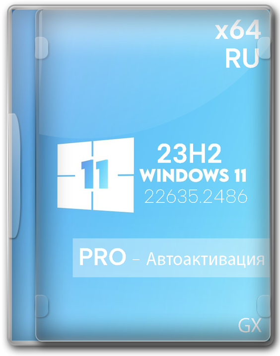 Windows 11 Professional 23H2 64     