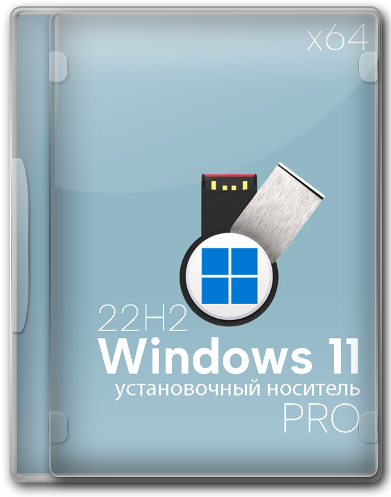  Windows 11 Professional 22H2 64   