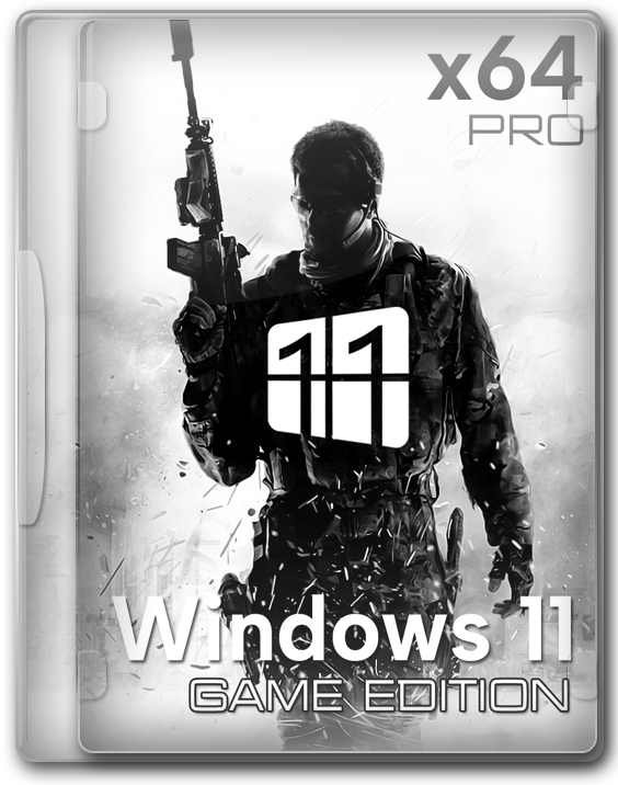 Windows 11 Professional x64 Lite Edition  