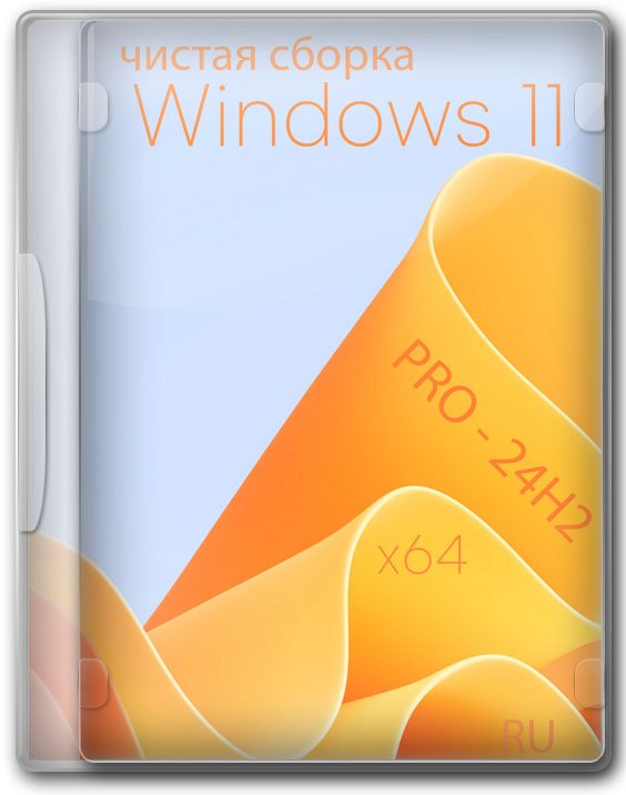 Windows 11  24H2    