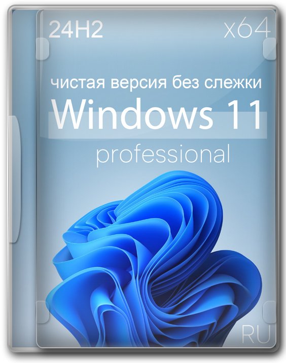 Windows 11 Pro 24H2 64    